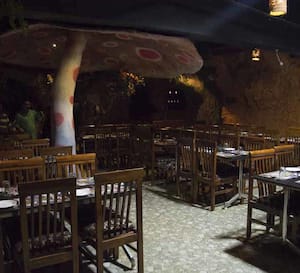 Amazon Jungles, Perungudi, Chennai | Zomato Amazon Jungles, Perungudi, Chennai | Zomato